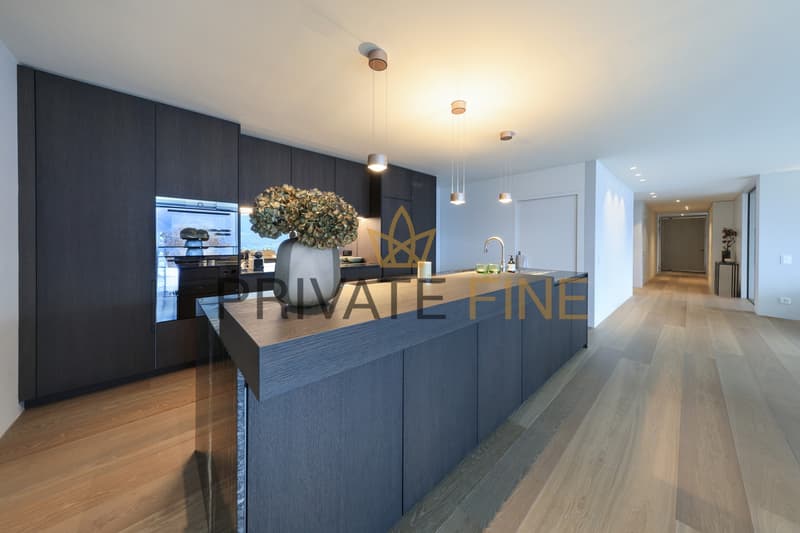 Prestige Appartment mit grosser Terrasse über dem Lago Maggiore (16) (4)