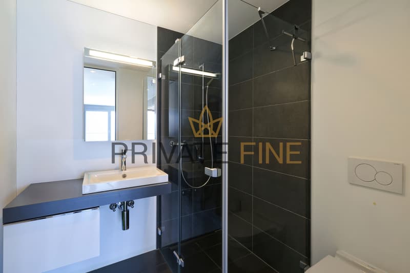2.5 Zimmer Wohnung mit Pool, Seesicht und Zweitwohnsitz (45) (9)
