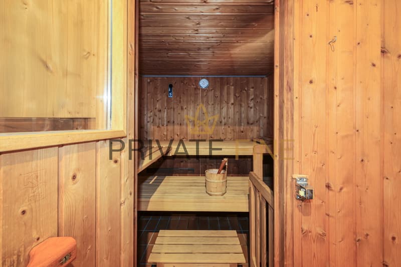 3.5 Zi.-Wohnung - Mediterranes wohnen in Ascona am See (20) (12)