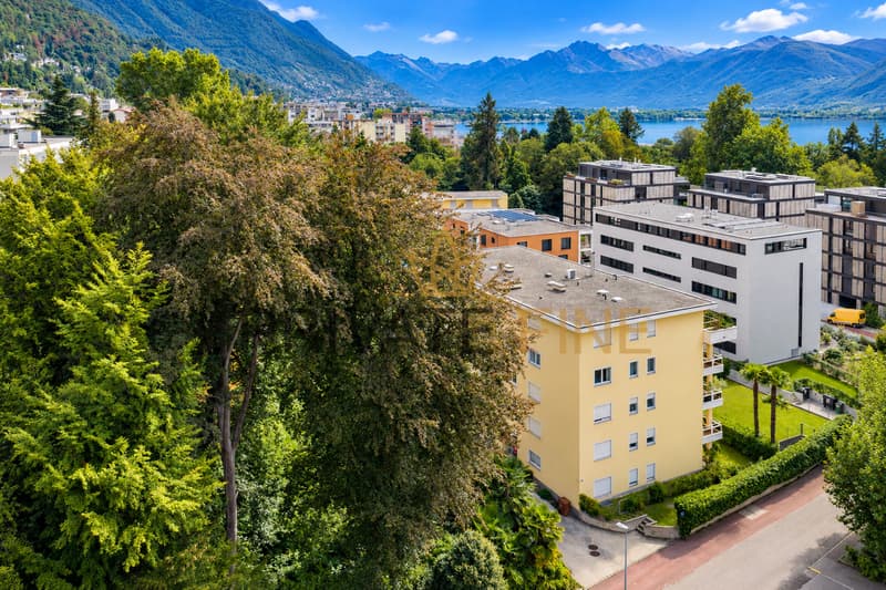 Prächtige 4.5 Zimmer Wohnung in Grünruhelage (16) (12)
