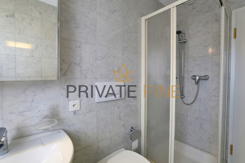 Prächtige 4.5 Zimmer Wohnung in Grünruhelage (16) (10)