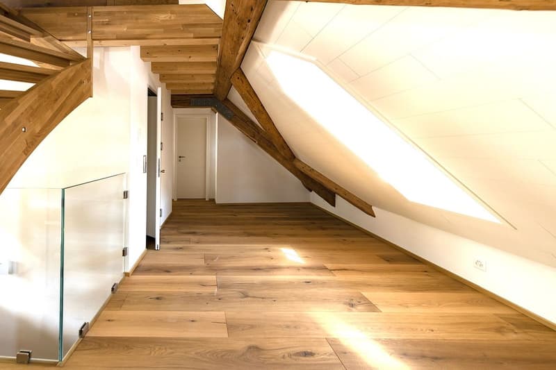 Grand appartement moderne au dernier étage avec accès direct par ascenseur (4)