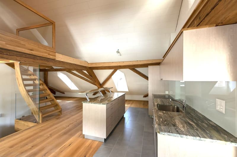 Grand appartement moderne au dernier étage avec accès direct par ascenseur (2)
