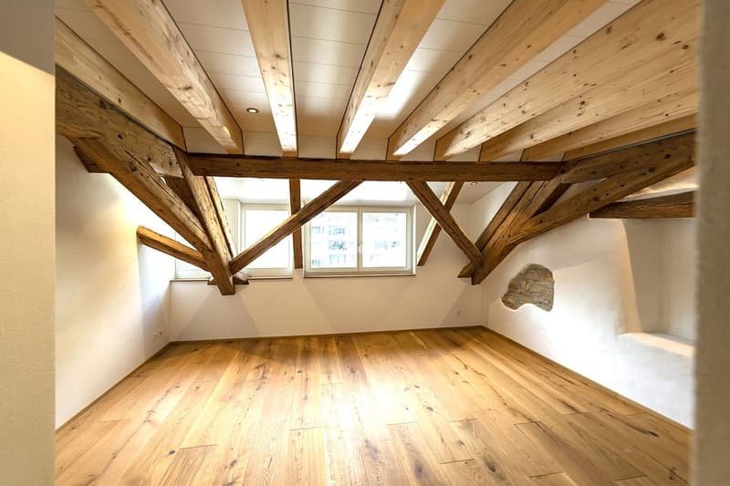 Grand appartement moderne au dernier étage avec accès direct par ascenseur (7)