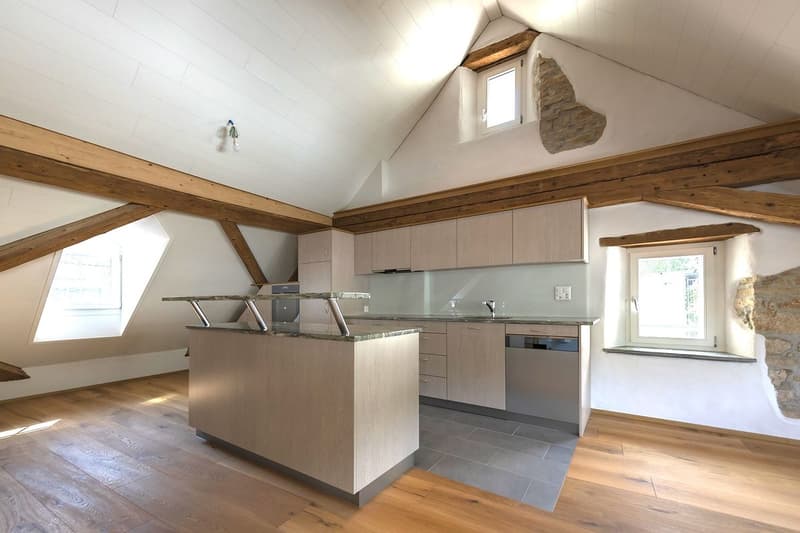 Grand appartement moderne au dernier étage avec accès direct par ascenseur (1)