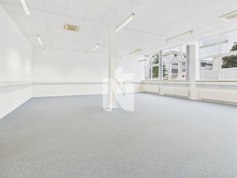 Spazio commerciale polivalente, climatizzato con galleria e carattere loft (5)