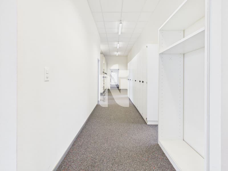 Étages de bureaux et d'activités avec infrastructure logistique professionnelle (6)
