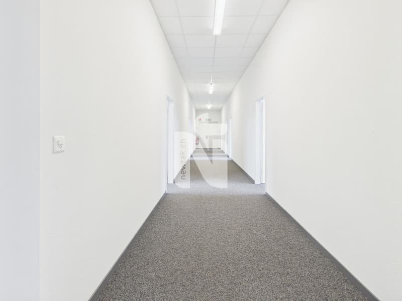 Surfaces de bureau attractives à partir de 13 m² dans un emplacement central (7)