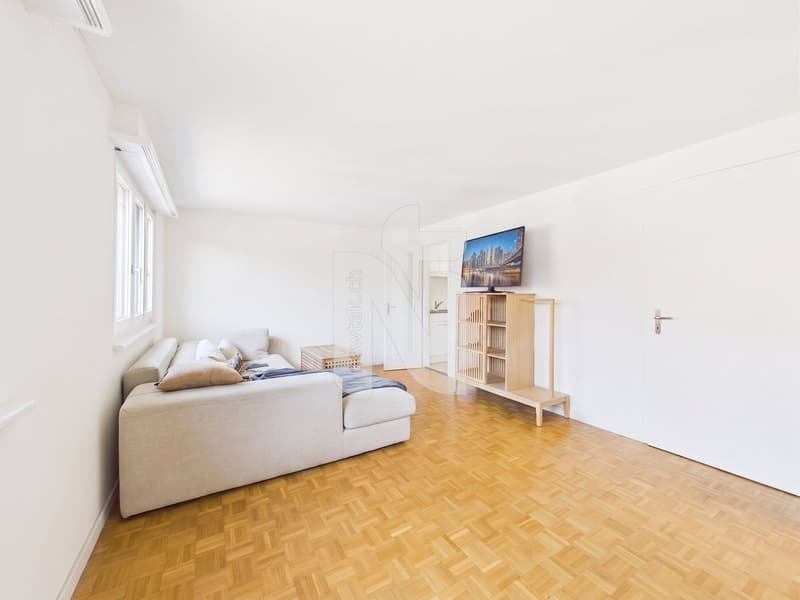 Appartement confortable de 2,5 pièces dans un emplacement central à Allschwil (2)