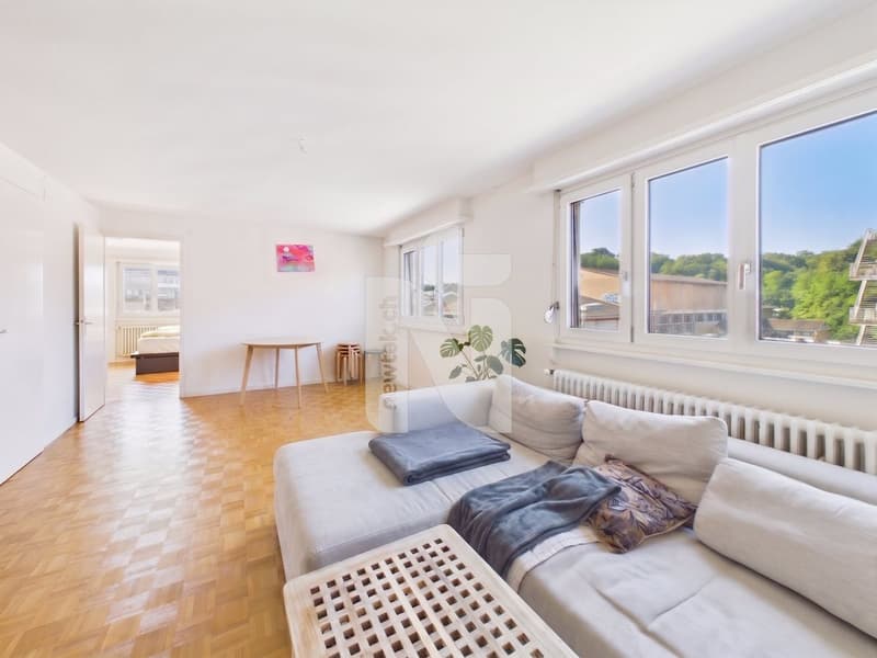 Appartement confortable de 2,5 pièces dans un emplacement central à Allschwil (1)