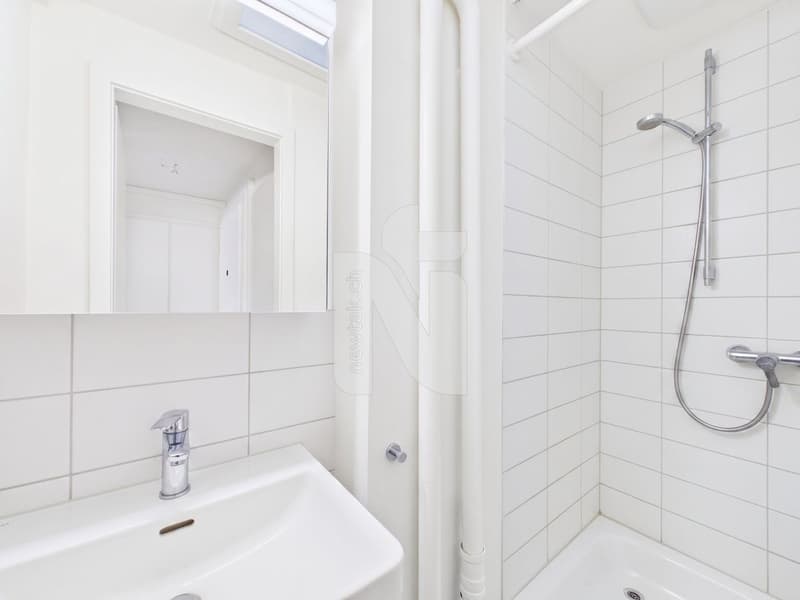 Appartement confortable de 2,5 pièces dans un emplacement central à Allschwil (5)