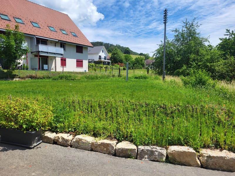 Bauernhaus mit Garten, Parkplätzen und grosser Ausbaureserve - ideal als Generationenhaus (5)