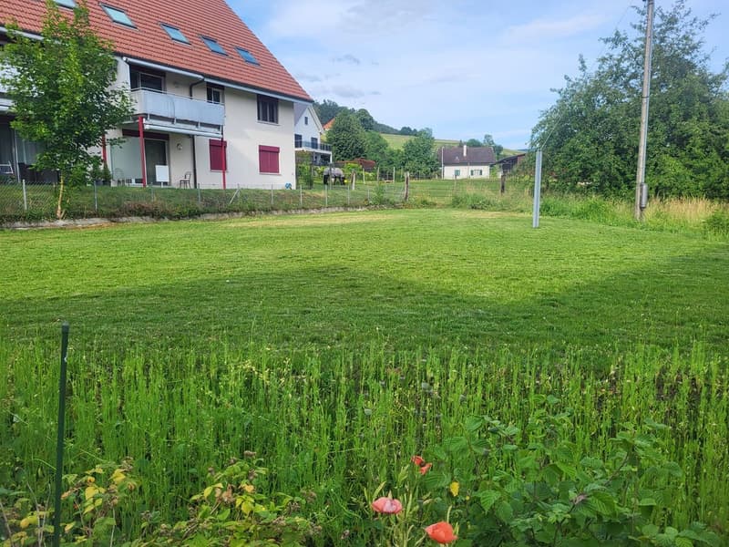 Bauernhaus mit Garten, Parkplätzen und grosser Ausbaureserve - ideal als Generationenhaus (3)