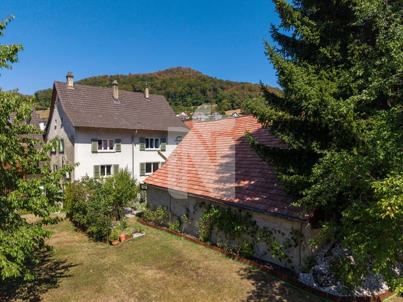 Ein Haus - drei Wohnungen - unzählige Möglichkeiten, ideal für Familien und Anleger (1)