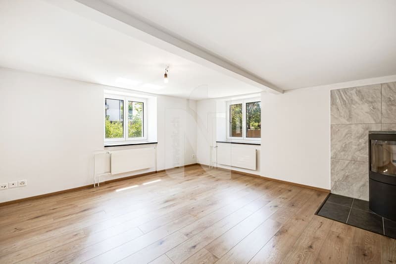 Ein Haus - drei Wohnungen - unzählige Möglichkeiten, ideal für Familien und Anleger (7)