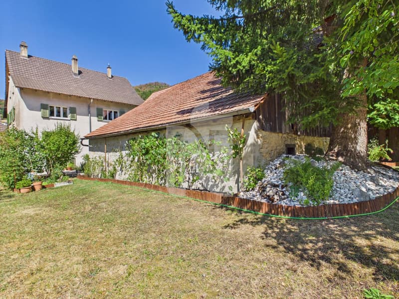 Ein Haus - drei Wohnungen - unzählige Möglichkeiten, ideal für Familien und Anleger (1)