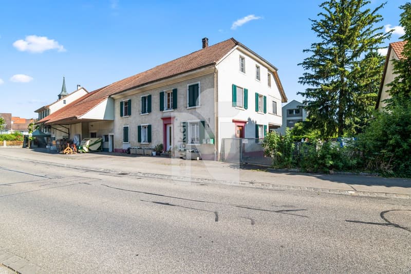 Charmantes Bauernhaus mit zwei separaten Wohnungen, grossem Garten, Terrasse und Renditepotenzial (4)