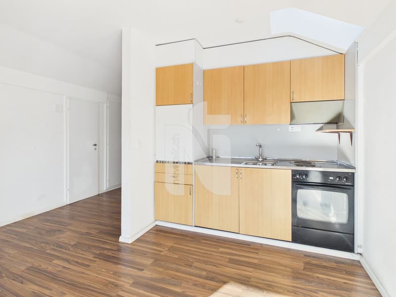 1-Zimmer-Wohnung mit schöner Aussicht, grossem Parkplatz und Ausbauoptionen (6)