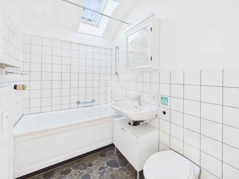1-Zimmer-Wohnung mit schöner Aussicht, grossem Parkplatz und Ausbauoptionen (7)