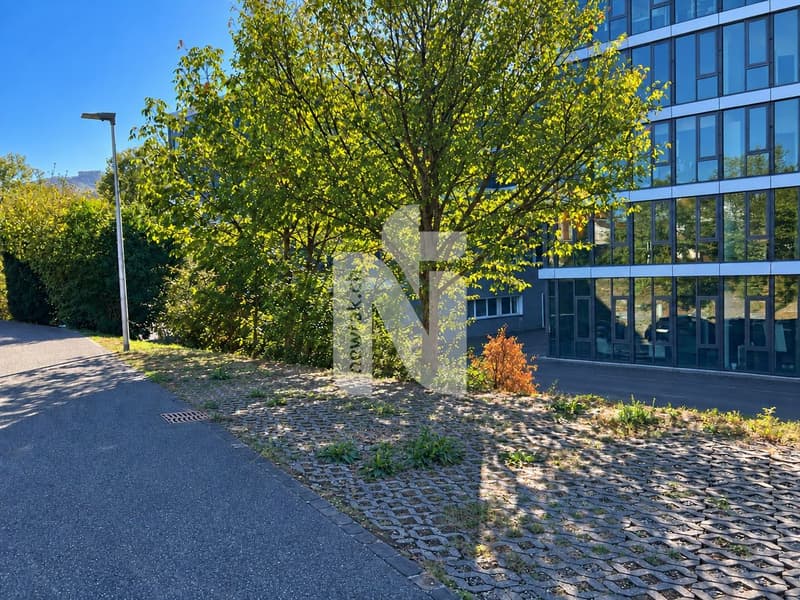 1-Zimmer-Wohnung mit schöner Aussicht, grossem Parkplatz und Ausbauoptionen (9)