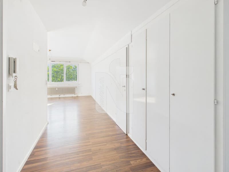 1-Zimmer-Wohnung mit schöner Aussicht, grossem Parkplatz und Ausbauoptionen (2)