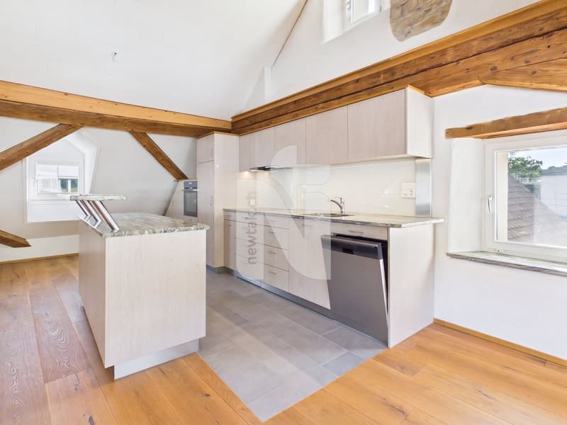 Charmante, sanierte Maisonettewohnung mit Lift, Balkon und eigenem Waschturm (1)
