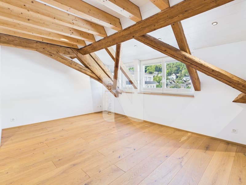 Charmante, sanierte Maisonettewohnung mit Lift, Balkon und eigenem Waschturm (3)