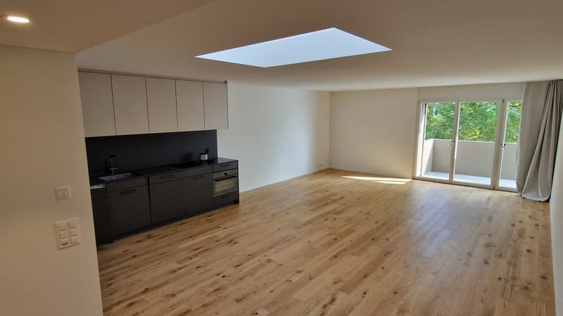 Schöne Singlewohnung in Küsnacht (3)