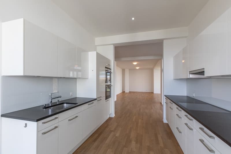 Helle 4.5-Zimmer-Wohnung mit Balkon und Garage in Wädenswil – sofort verfügbar (11)
