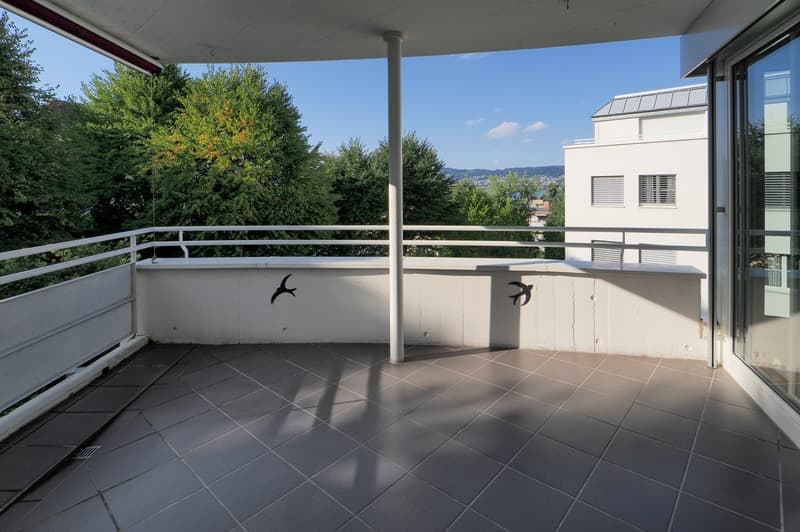 Helle 3.5-Zimmer-Wohnung mit Balkon und Seeblick in Wädenswil (1)