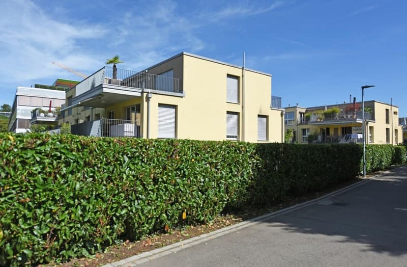 Helle 4.5-Zimmer-Wohnung mit Balkon in Stäfa – sofort verfügbar! (2)