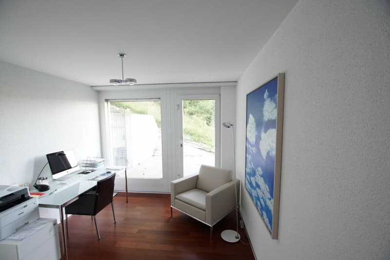Über den Dächern von Brugg (16)