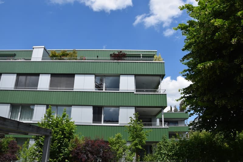 Moderne und neuwertige 3 1/2-Zimmerwohnung (5)