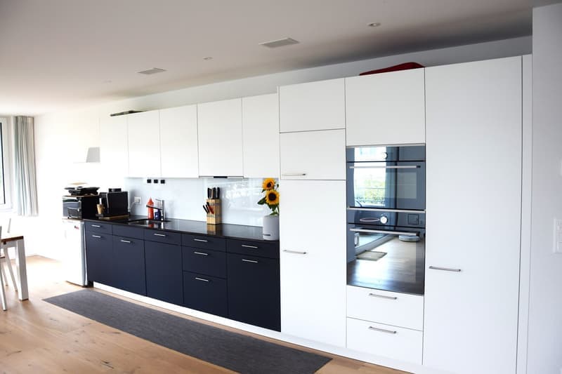 Moderne und neuwertige 3 1/2-Zimmerwohnung (1)