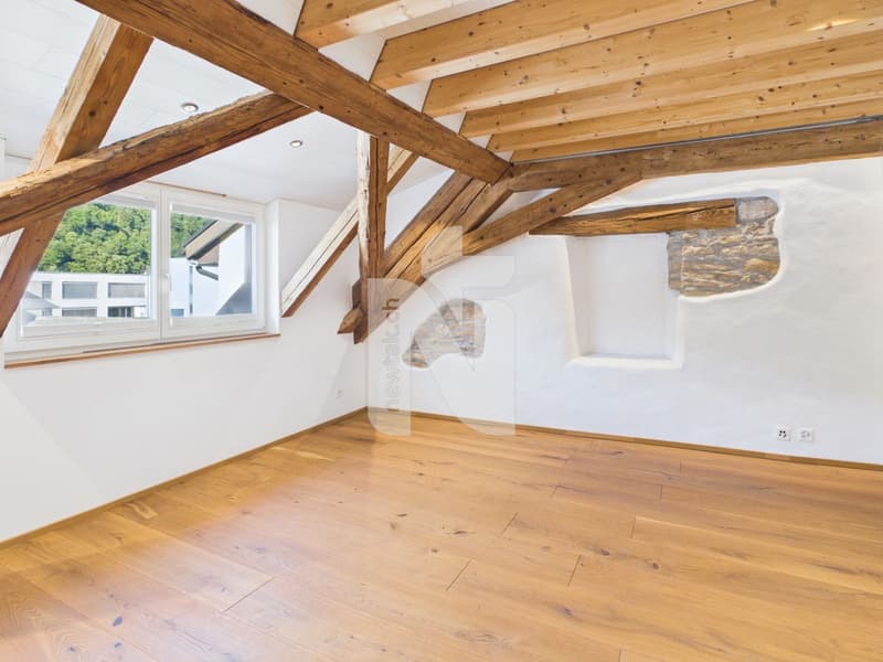 Charmante, sanierte Maisonettewohnung mit Lift, Balkon und eigenem Waschturm (2)