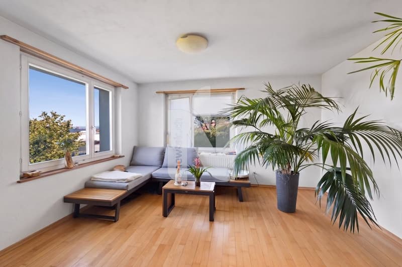 Einliegerwohnung Wohnzimmer