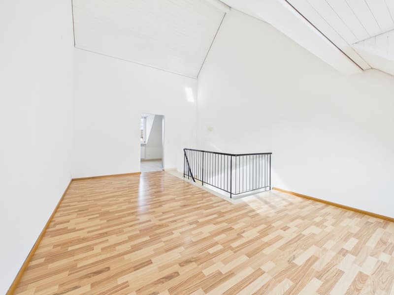 Frisch renovierte Maisonettewohnung im Herzen von Aesch (9)