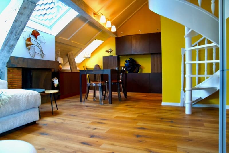Appartement meublé et équipé au coeur de Genève (1)