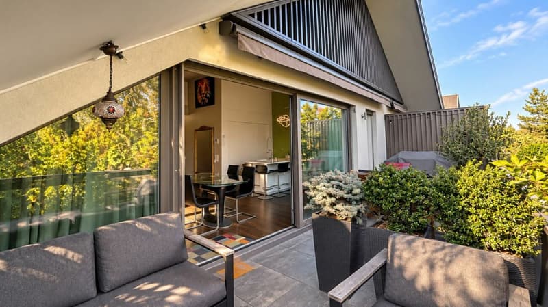 Superbe duplex en attique au coeur de Mies (9)
