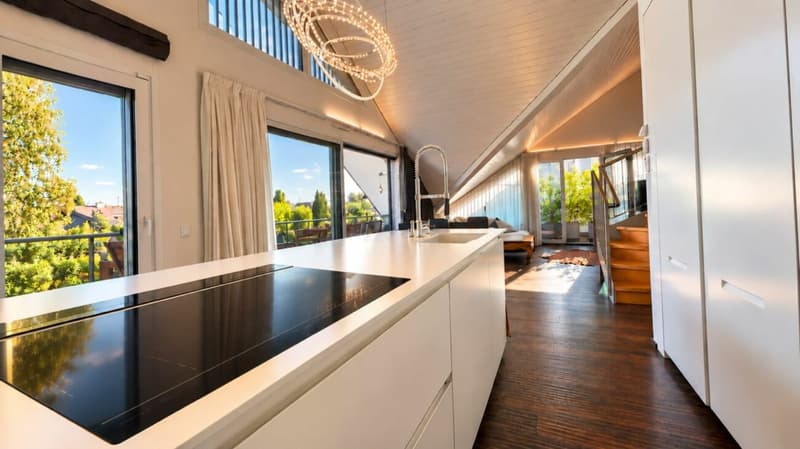 Superbe duplex en attique au coeur de Mies (5)