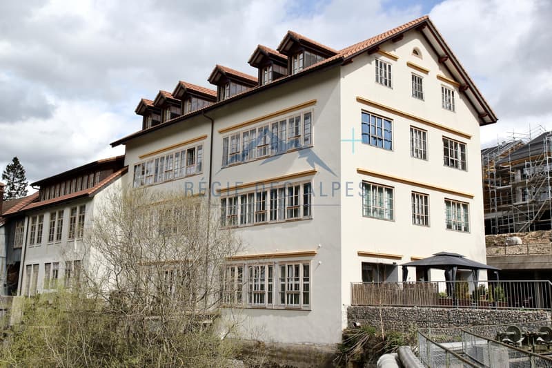 Superbe appartement familial de 8.5 pièces avec terrasse en bordure de rivière à Vallorbe ( Lot 1 ) (9)