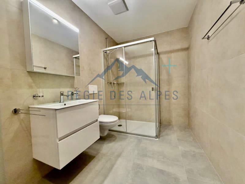 Spacious new apartment in PPE - Le Sentier (7)