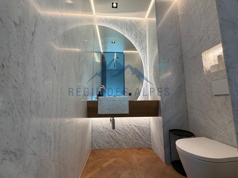 Bella superficie commerciale a Meyrin (5)