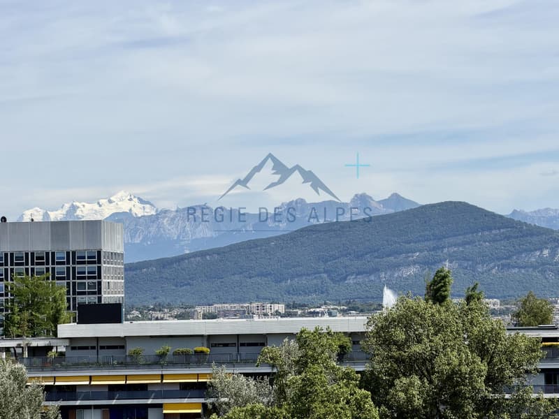 Charment 3 pièces avec échappée du jet d'eau (1)
