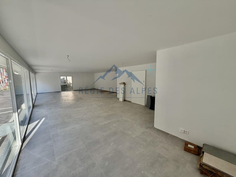 Arcades commerciales au coeur du Sentier - (lot 6 / lot 7 / lot 11) (4)