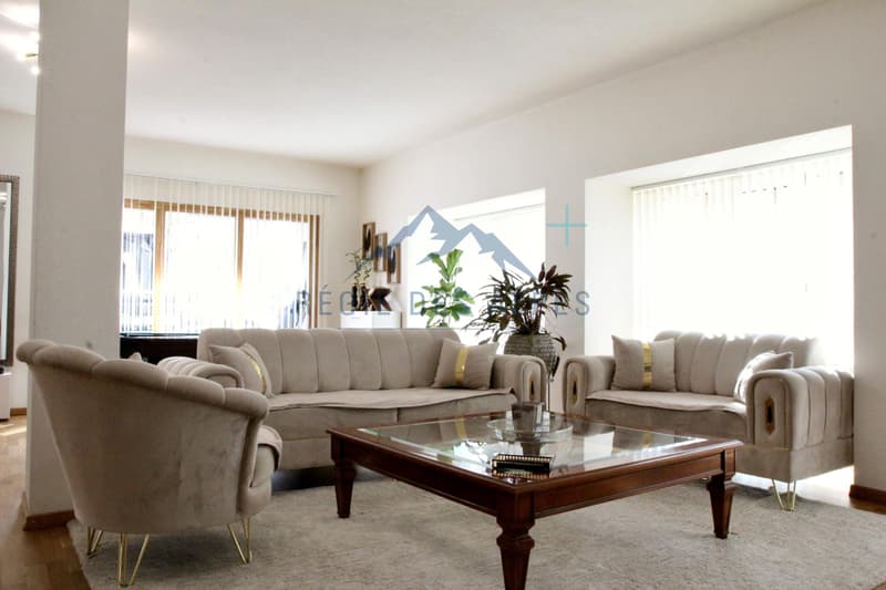 Superbe appartement familial de 5.5 pièces avec terrasse en bordure de rivière à Vallorbe ( Lot 1 ) (2)