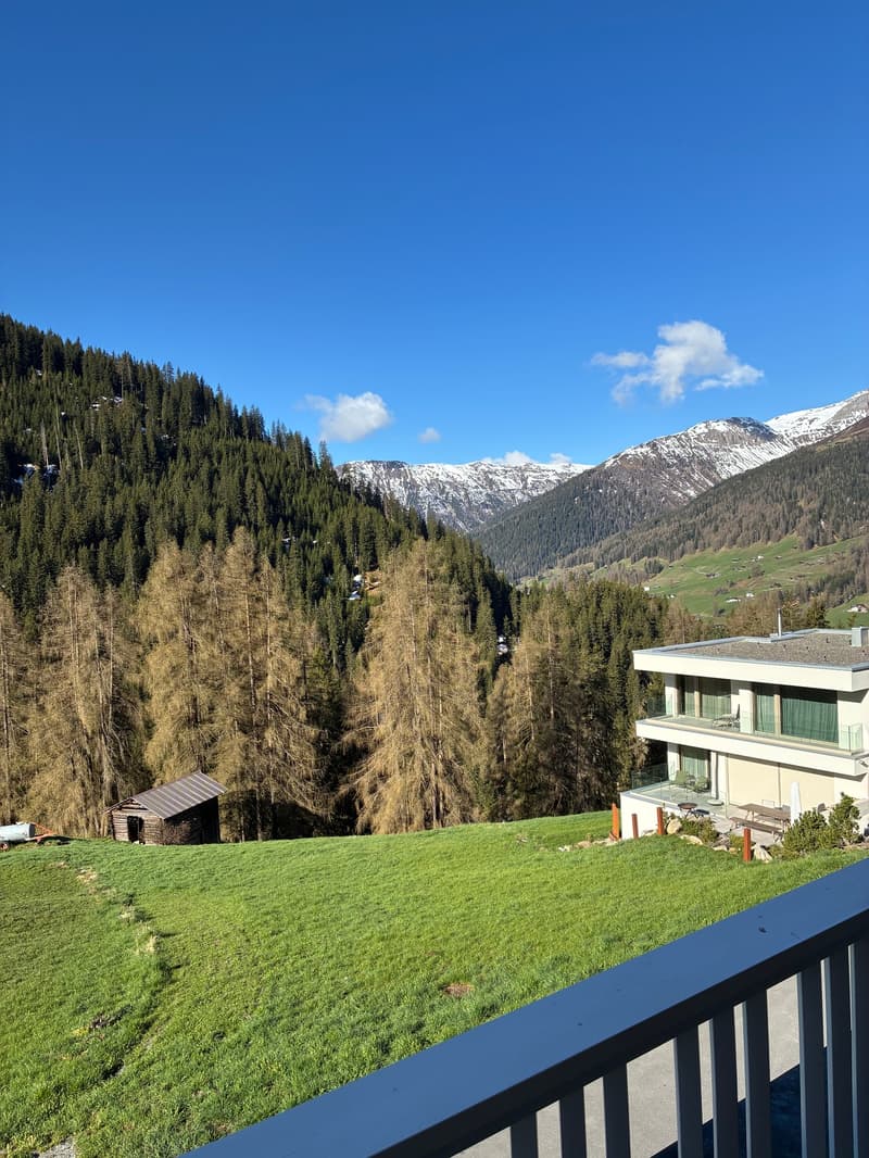 Cozy, furnished 1-room apartment with balcony and forest view in Clavadel (8)