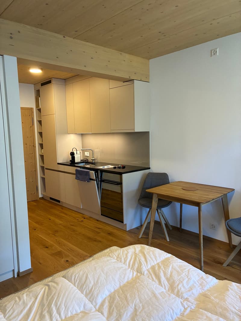 Cozy, furnished 1-room apartment with balcony and forest view in Clavadel (3)