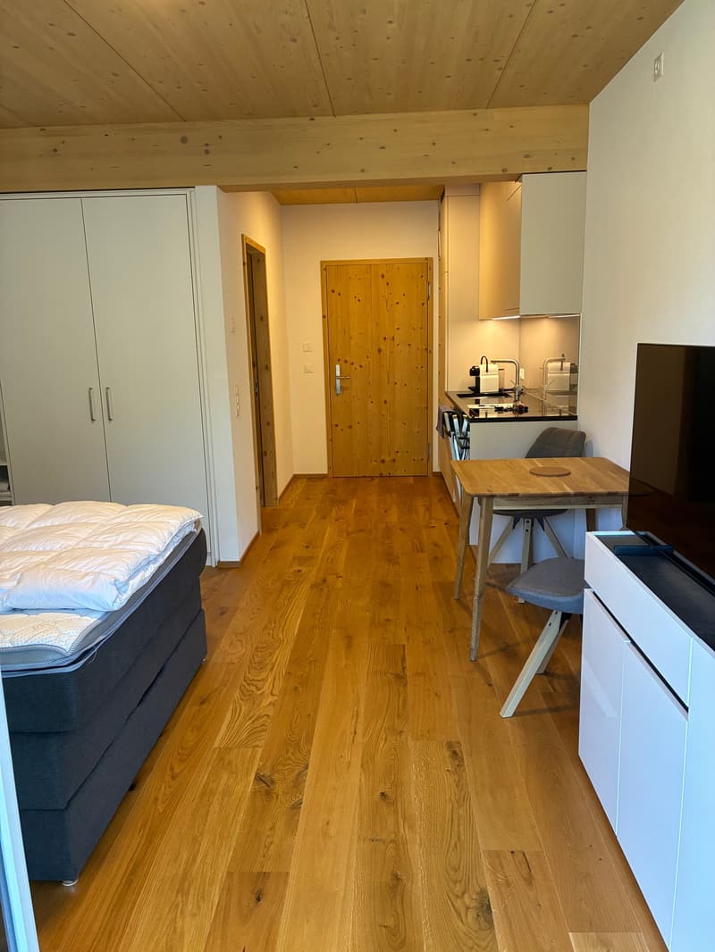 Cozy, furnished 1-room apartment with balcony and forest view in Clavadel (2)