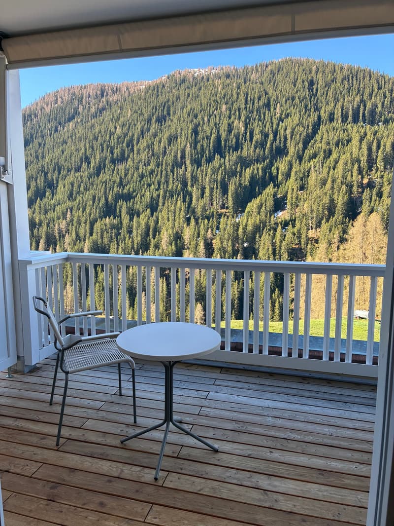 Cozy, furnished 1-room apartment with balcony and forest view in Clavadel (6)
